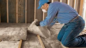 Eco-Friendly or Green Insulation Solutions in Timnath, CO